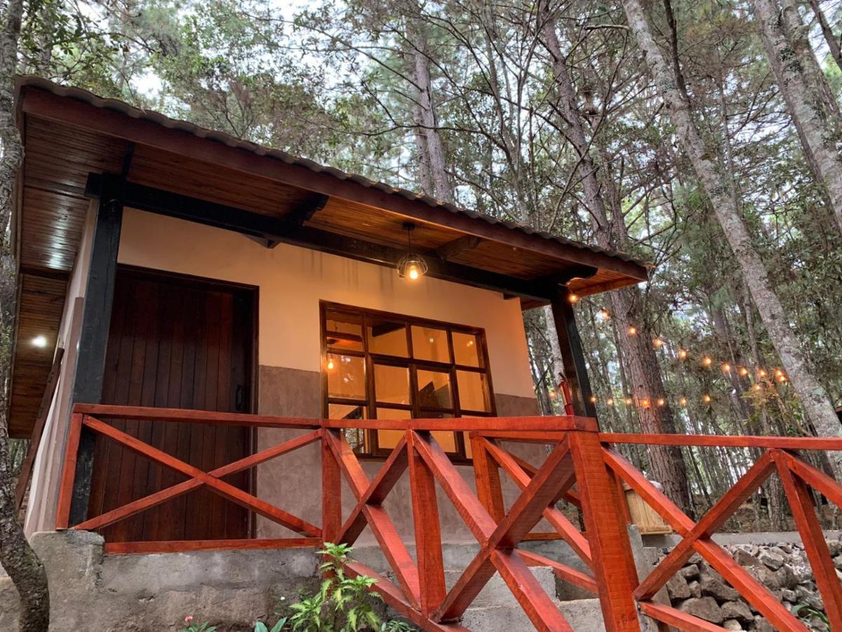 Cotan Ecolodge La Esperanza Exterior photo